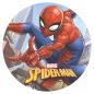 Preview: Edible Cake Topper "SPIDER-MAN" 20 cm
